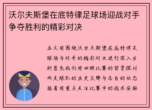 沃尔夫斯堡在底特律足球场迎战对手争夺胜利的精彩对决