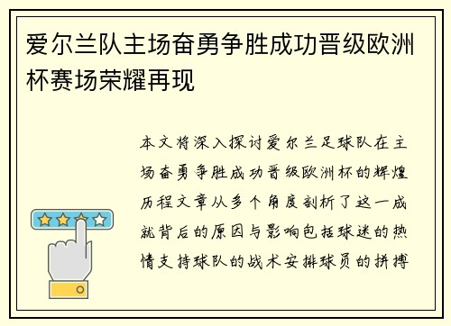 爱尔兰队主场奋勇争胜成功晋级欧洲杯赛场荣耀再现