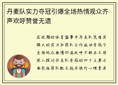 丹麦队实力夺冠引爆全场热情观众齐声欢呼赞誉无遗