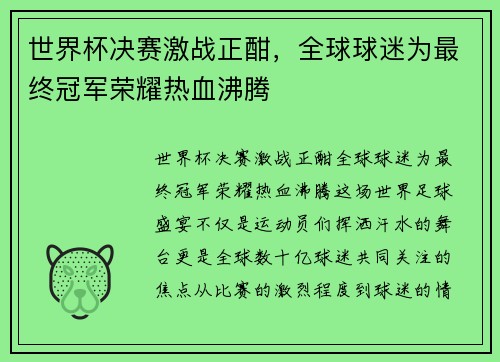 世界杯决赛激战正酣，全球球迷为最终冠军荣耀热血沸腾